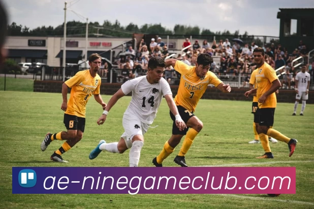 企业概况